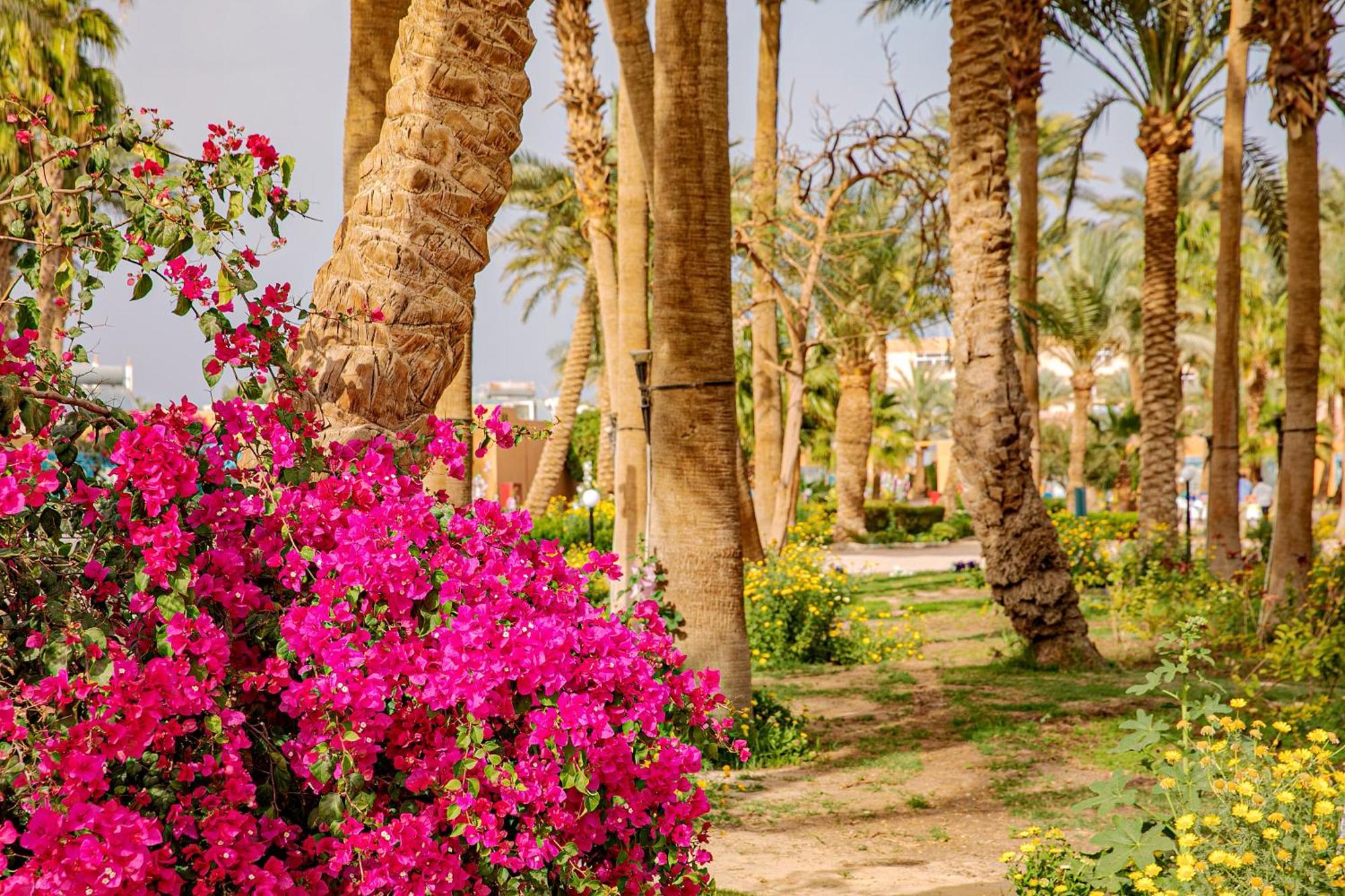 Giftun Azur Resort Χουργκάντα Εξωτερικό φωτογραφία