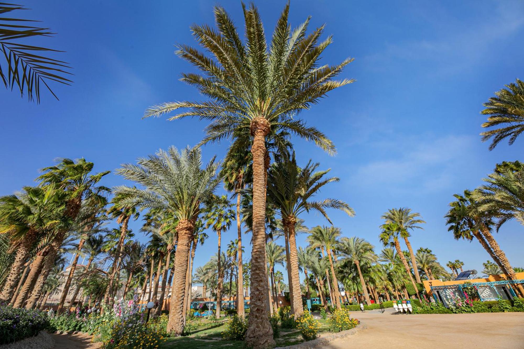 Giftun Azur Resort Χουργκάντα Εξωτερικό φωτογραφία